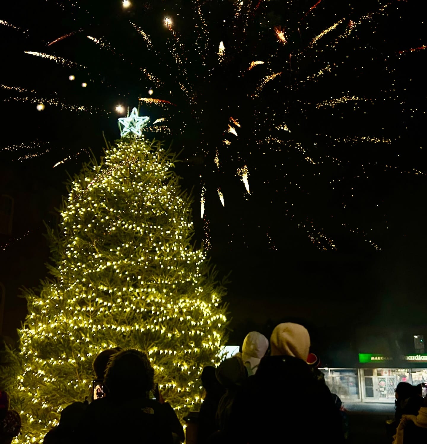 Markham Festival of Lights 2024