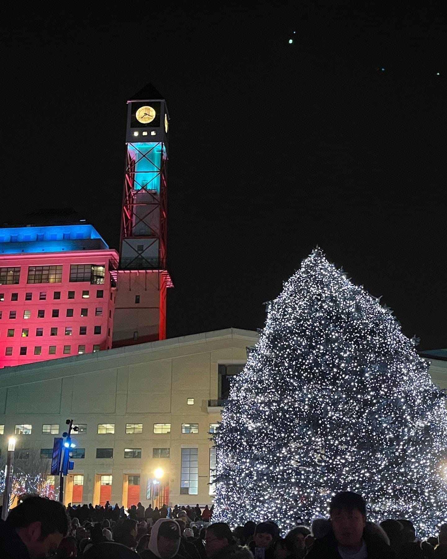 Christmas Tree Lighting Ceremonies in Toronto