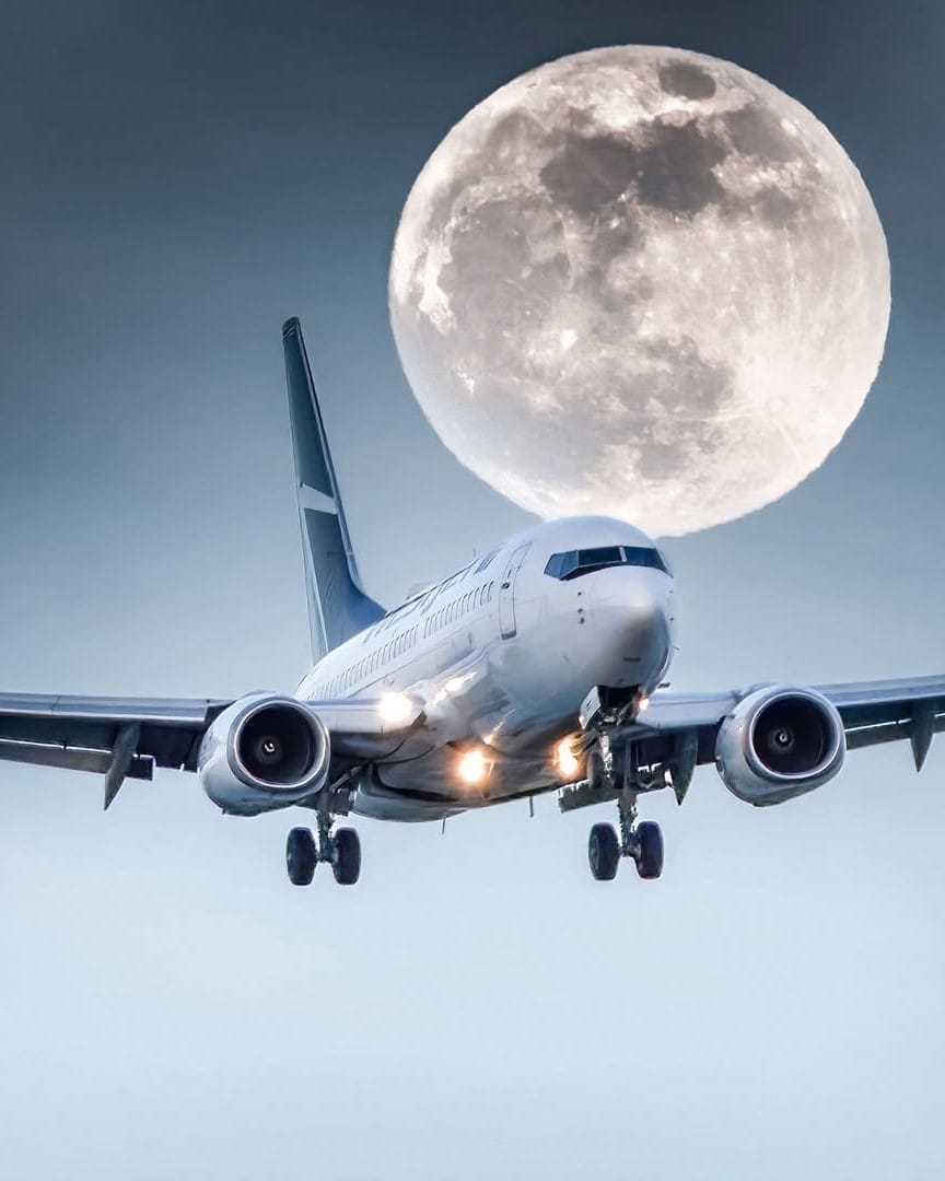 WestJet Black Friday