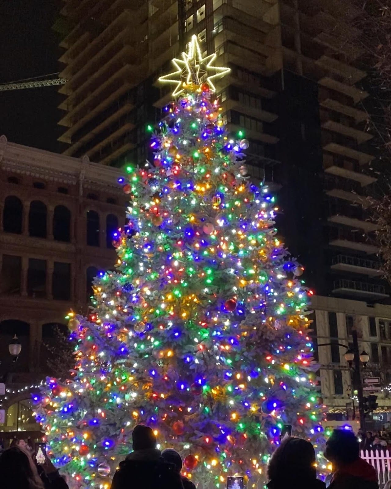 Things to Do in Hamilton This Holiday