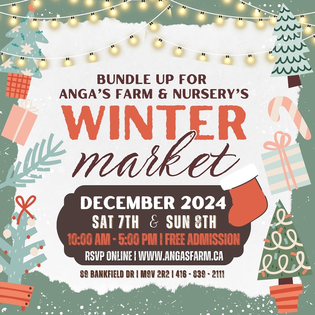 Free Things To Do in Toronto This December