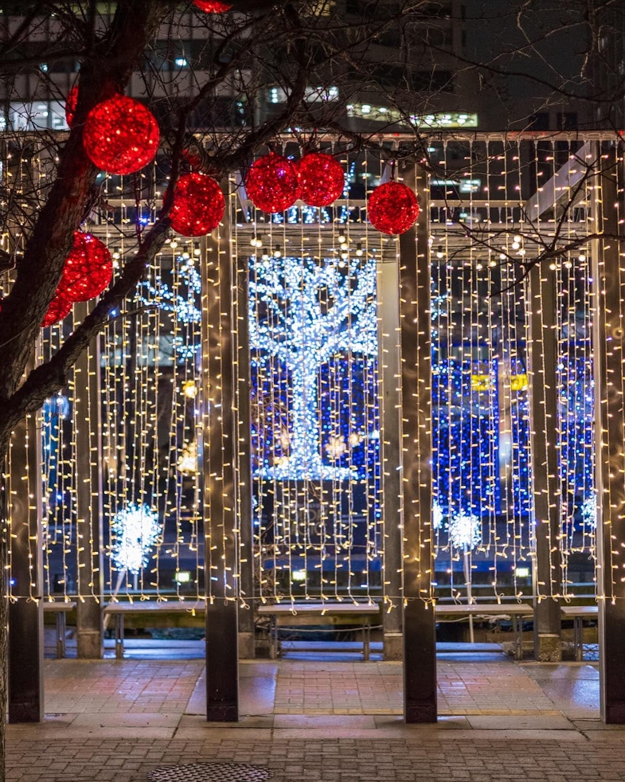 Things To Do This Week (December 16-22)