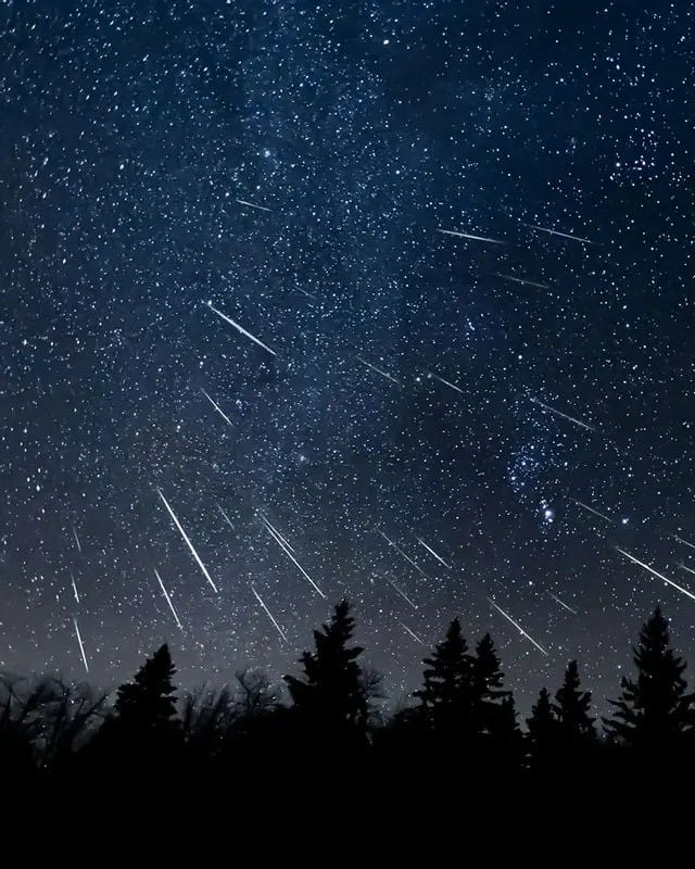 Leonid Meteor Shower 2024: Peak Dates, Viewing Tips, and What to Expect