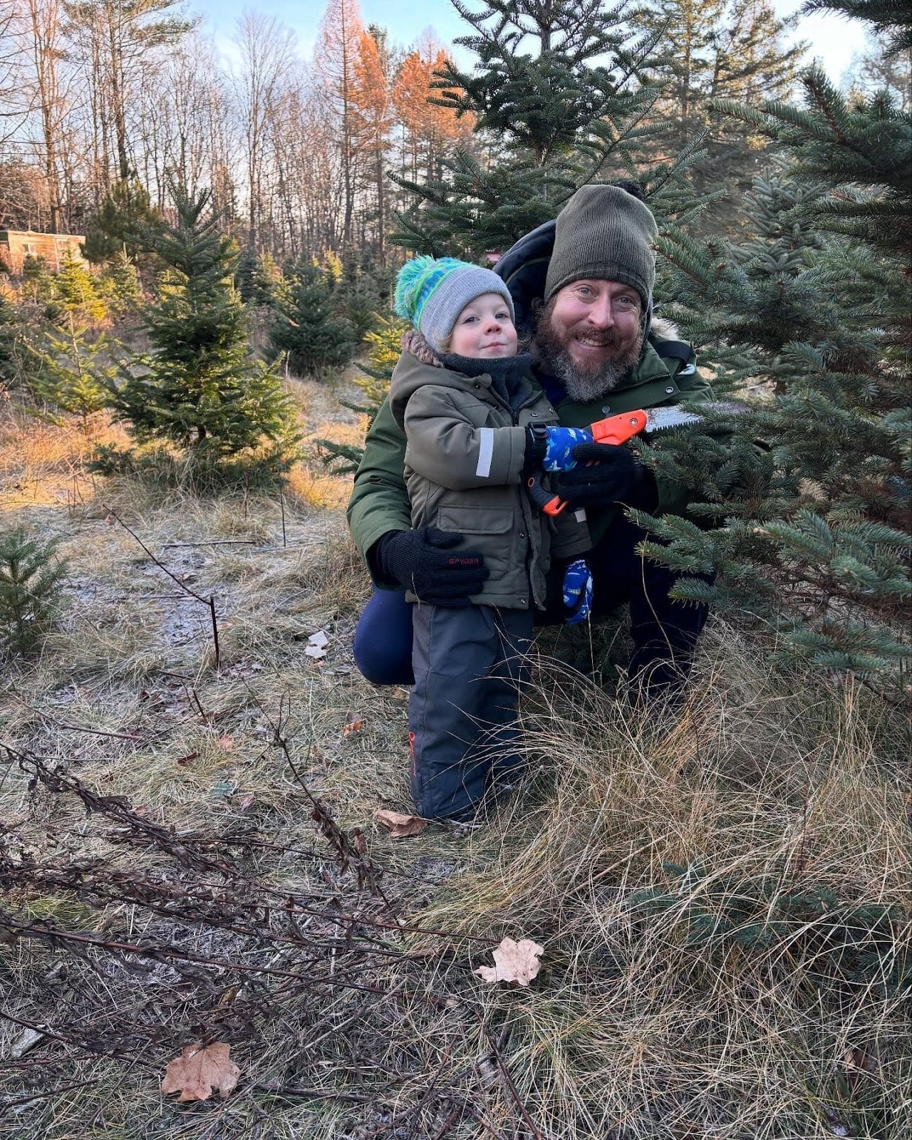 Where to Buy Christmas Tree Around Toronto