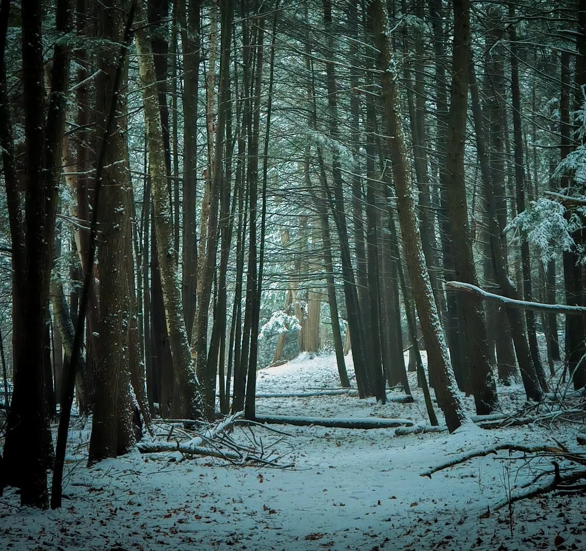 Winter Hiking Trails in Ontario