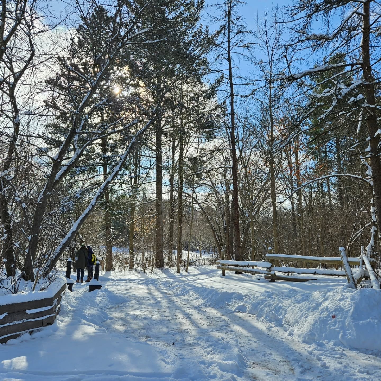 Winter Hiking Trails in Ontario