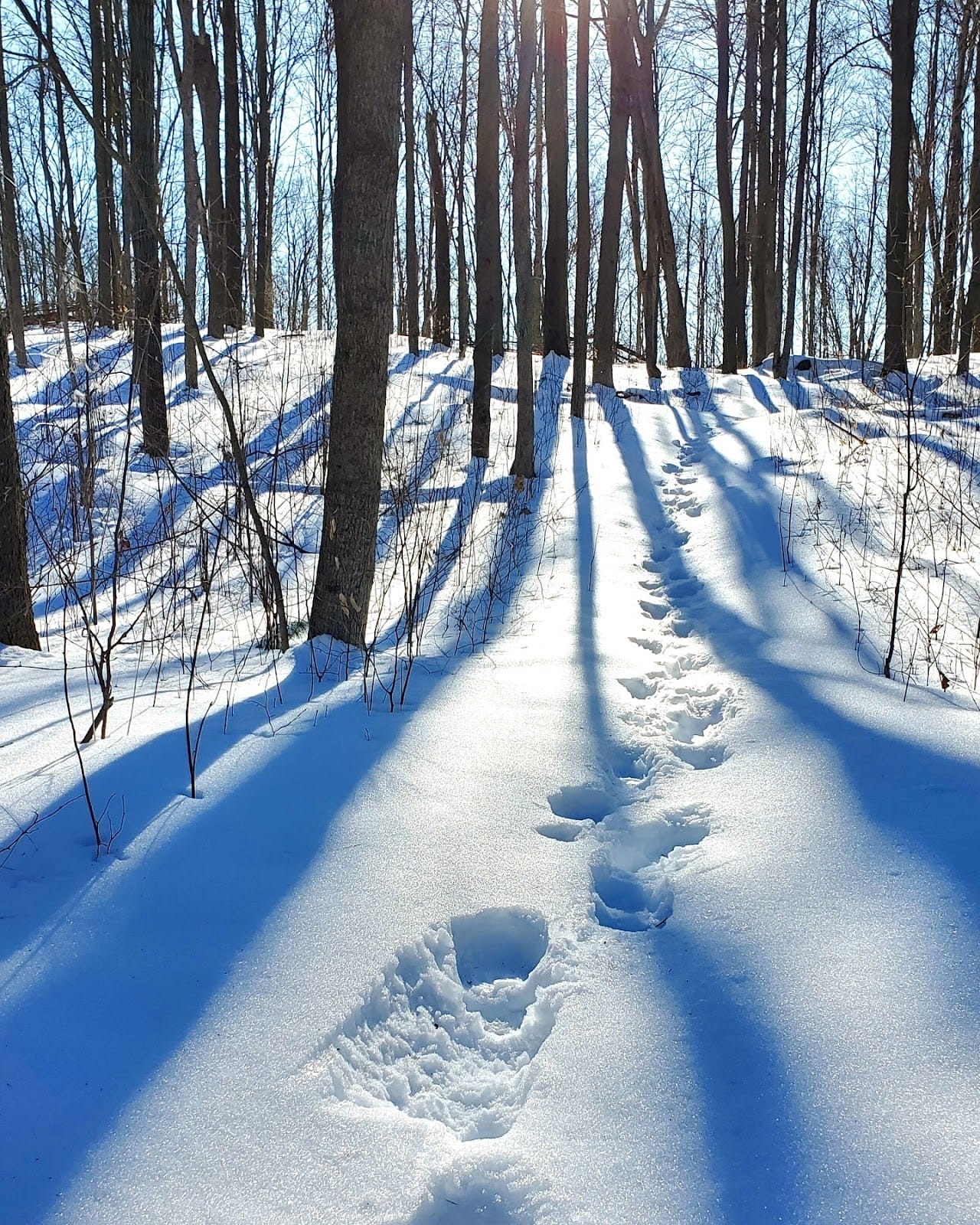 Winter Hiking Trails in Ontario