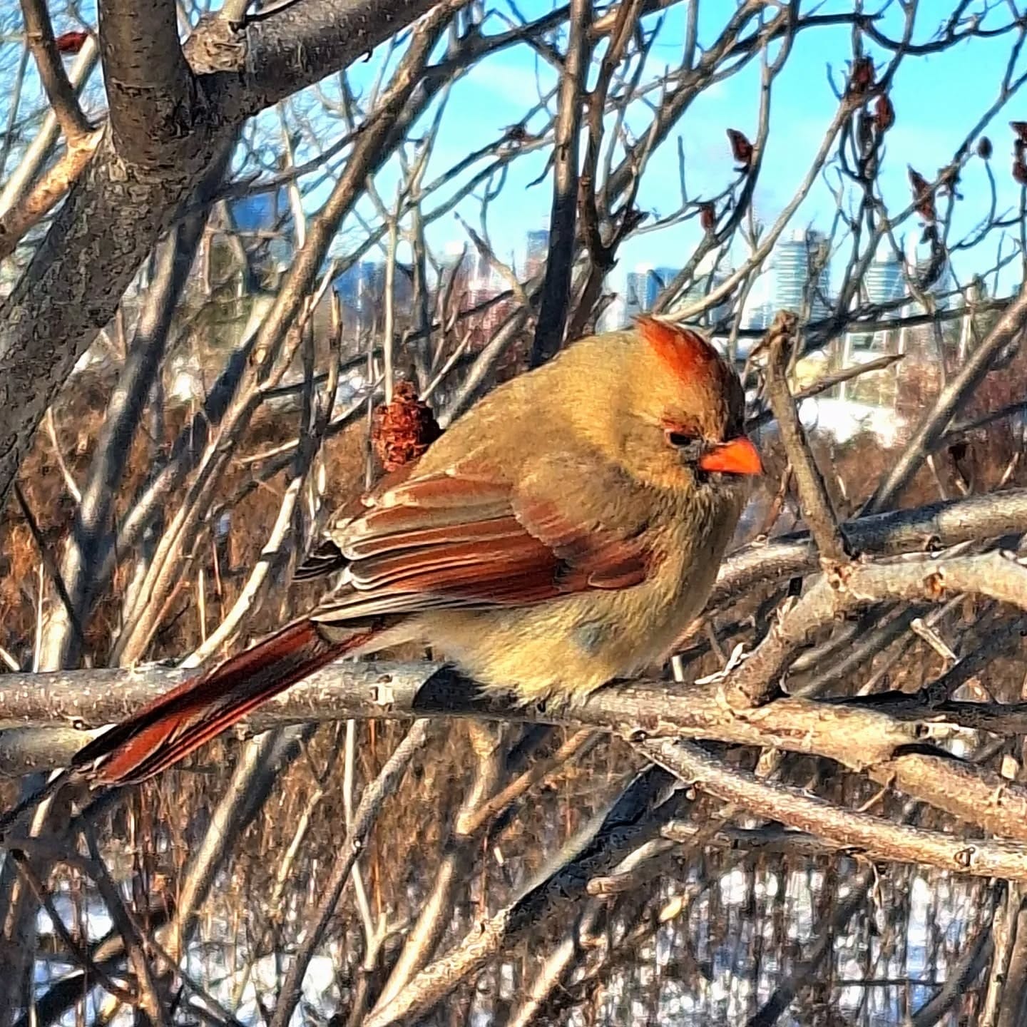 outdoor adventures in Toronto