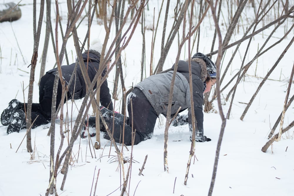 outdoor adventures in Toronto