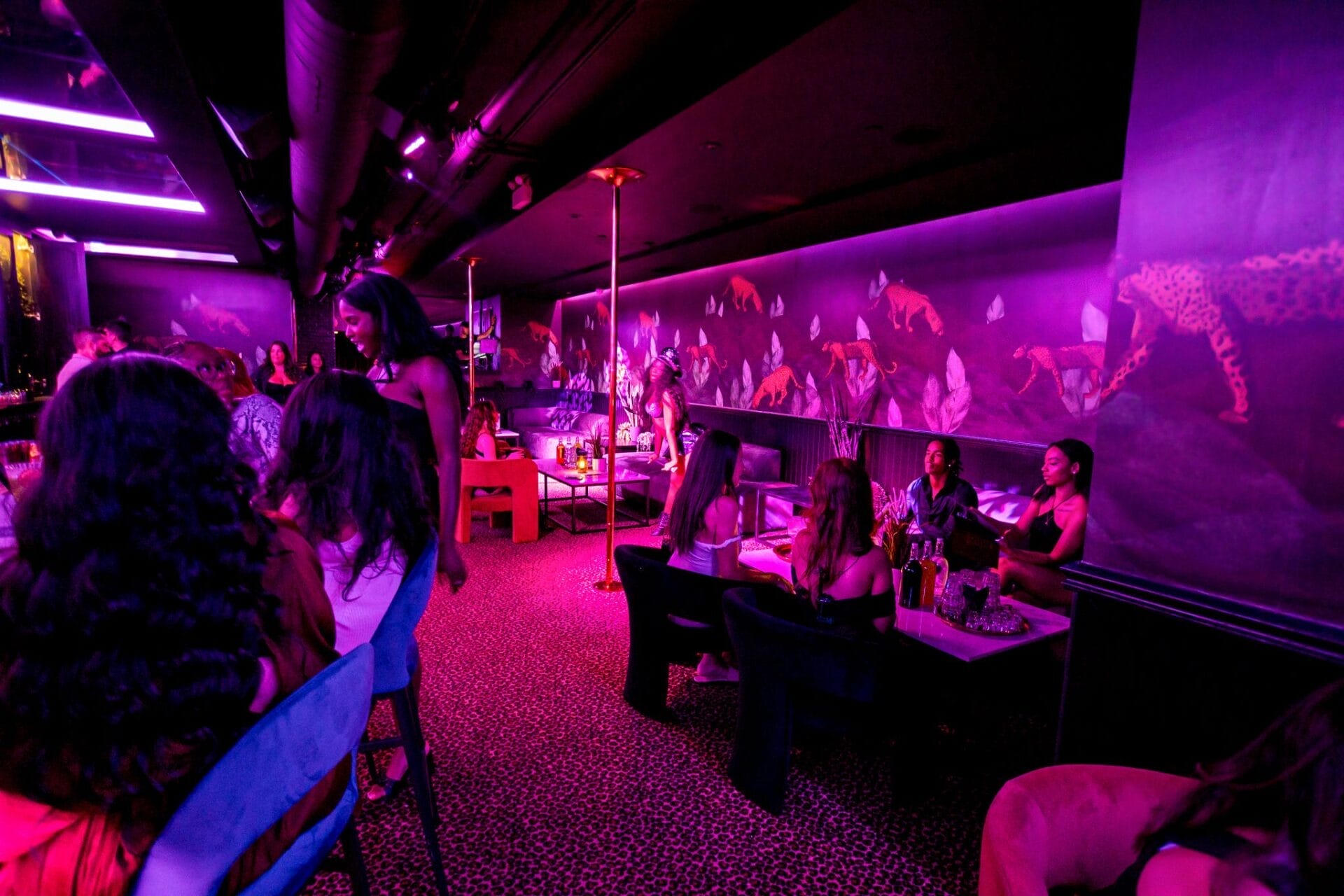 Baby's Cabaret Toronto