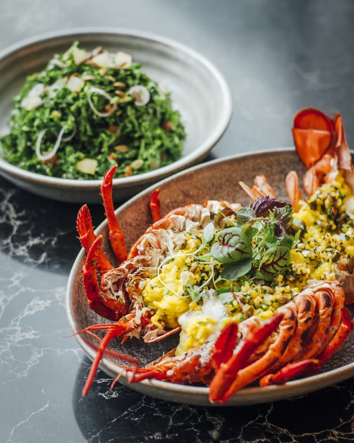 A gourmet grilled lobster dish topped with greens.