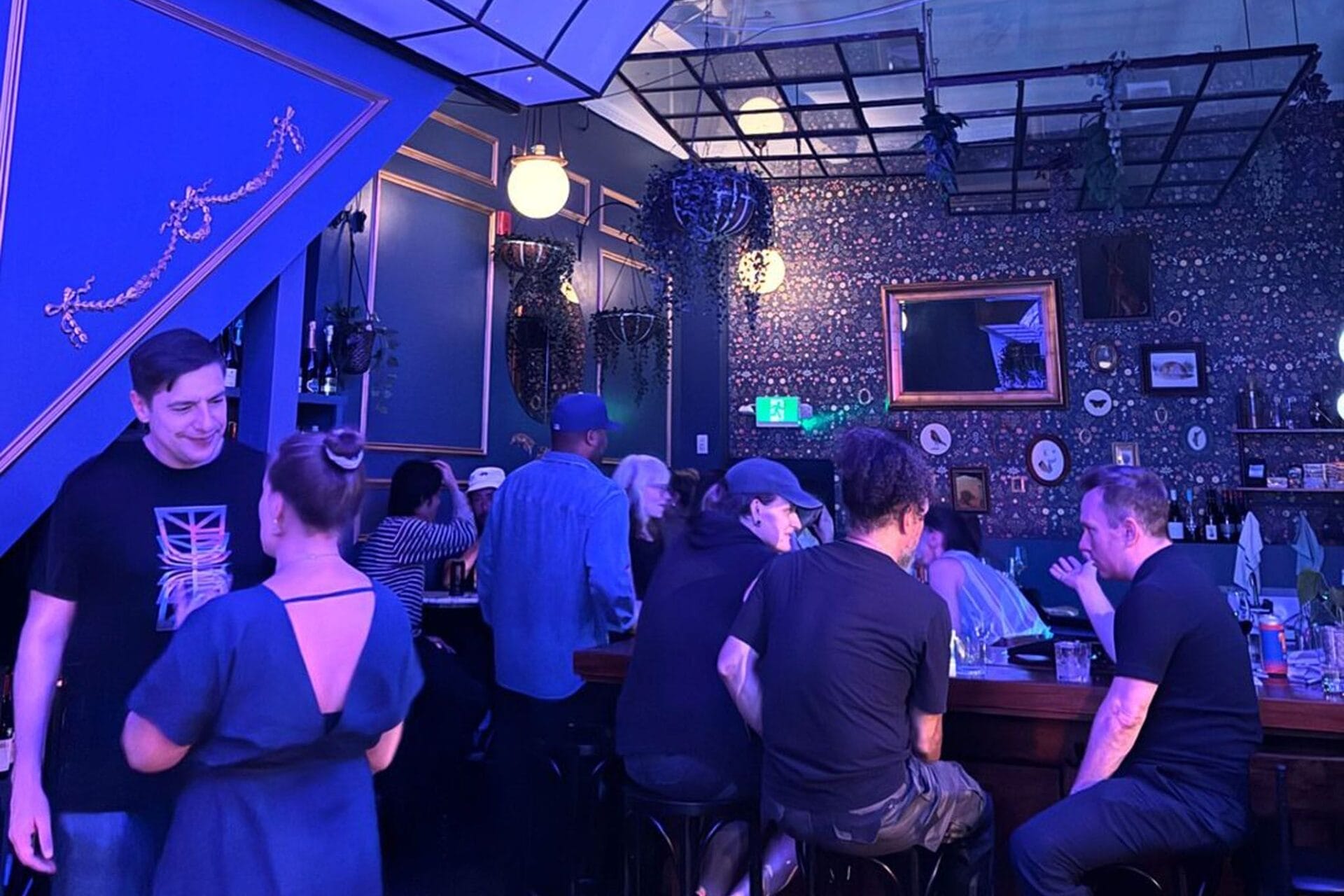 Shrinking Violet Toronto