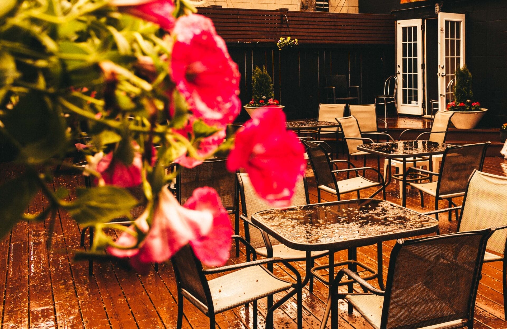 working dog saloon | Date Spots