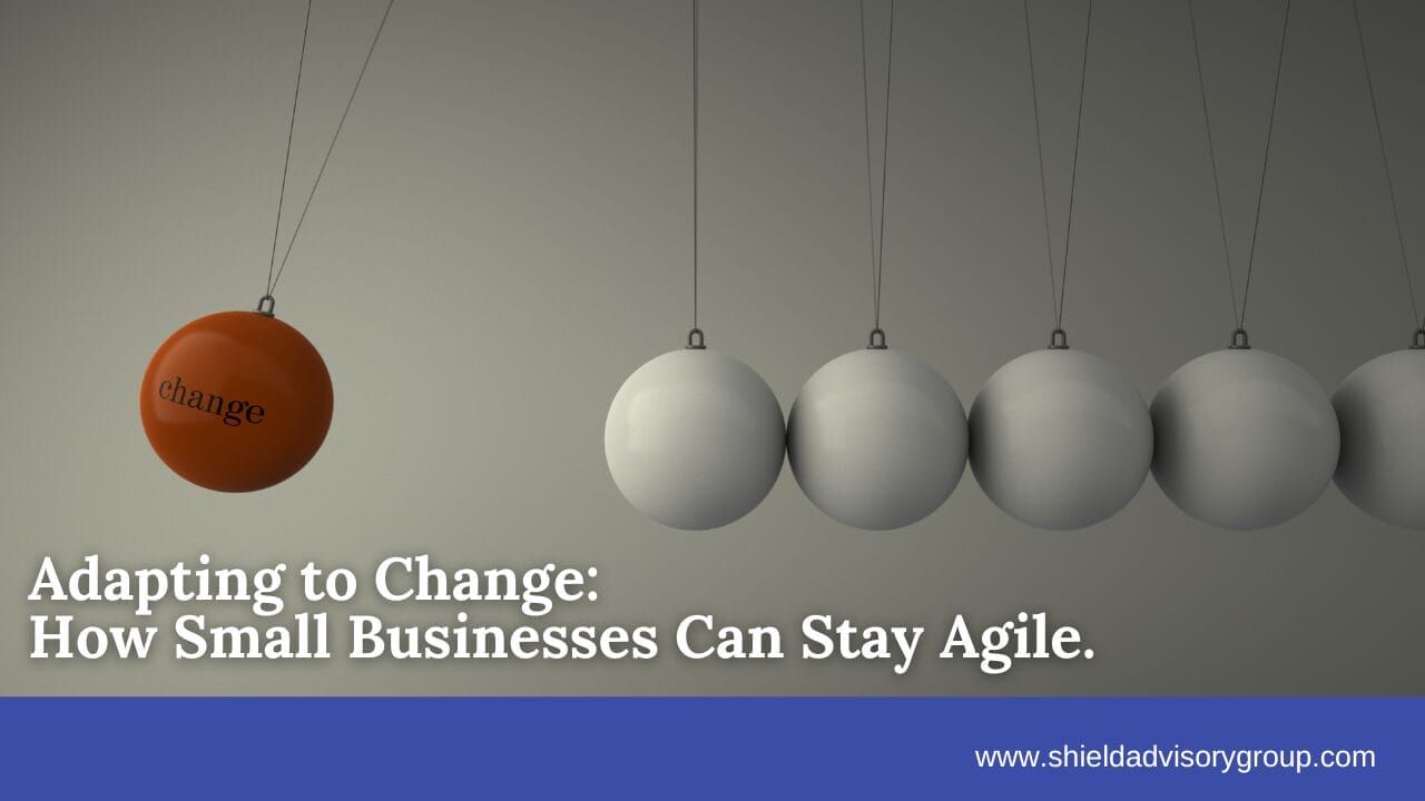 Business-themed visual featuring a Newton’s Cradle with a red ball labeled 'change' about to strike a series of gray balls, symbolizing the impact of change. The text overlay reads 'Adapting to Change: How Small Businesses Can Stay Agile,' with a blue footer displaying the website 'www.shieldadvisorygroup.com.'