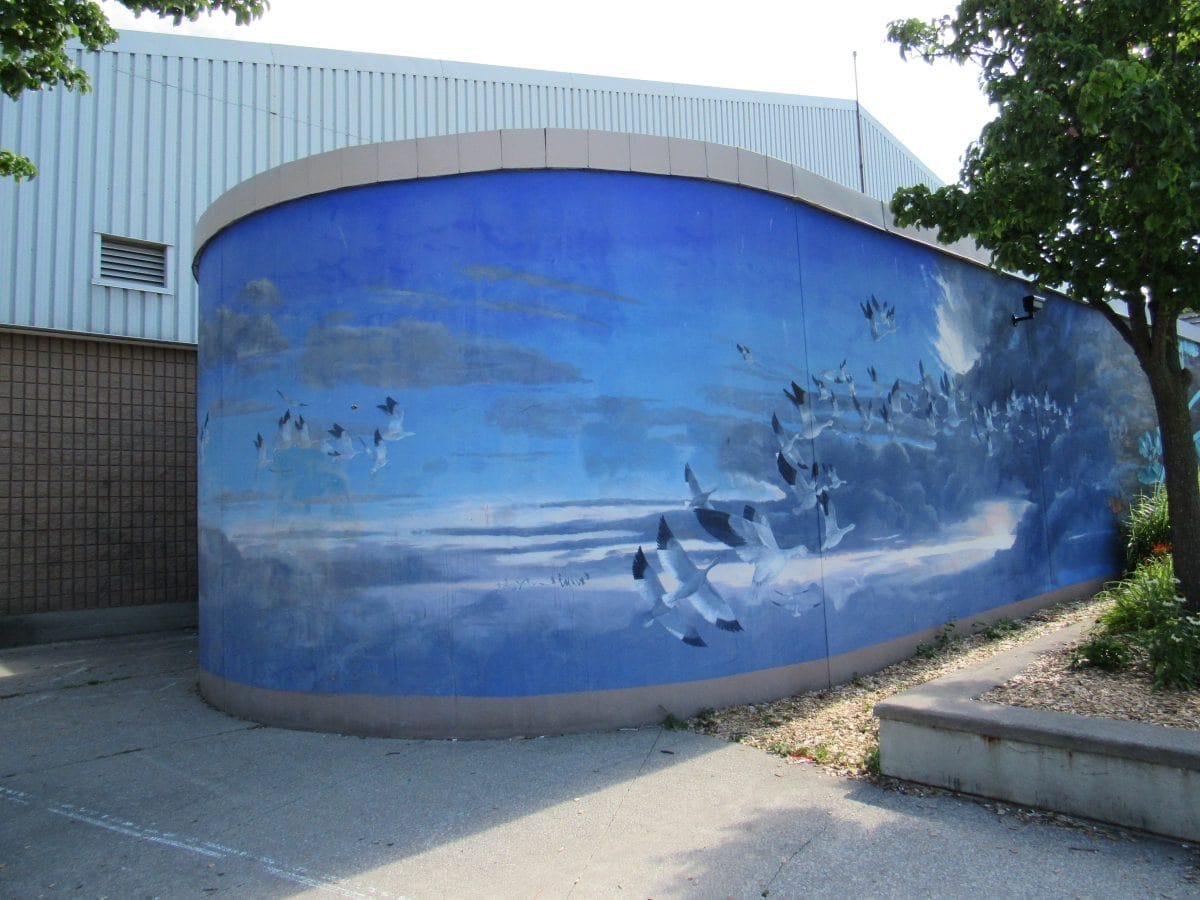 Mural art | free date ideas scarborough