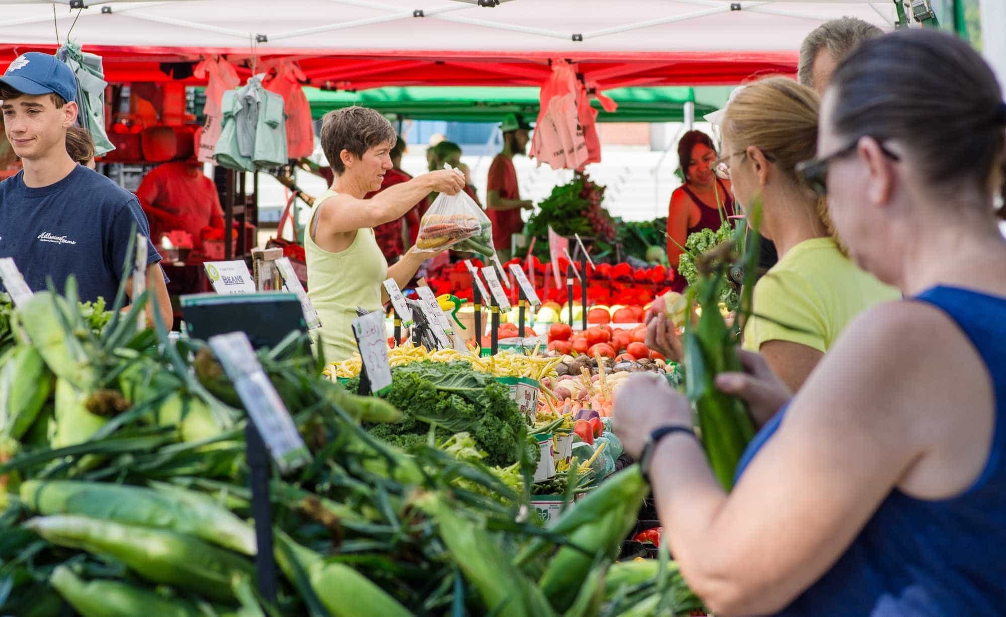 East York Farmers' Market