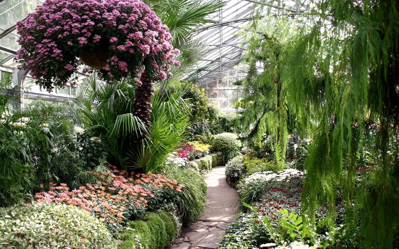 Pathway of flowers at Allan Gardens Conservatory.