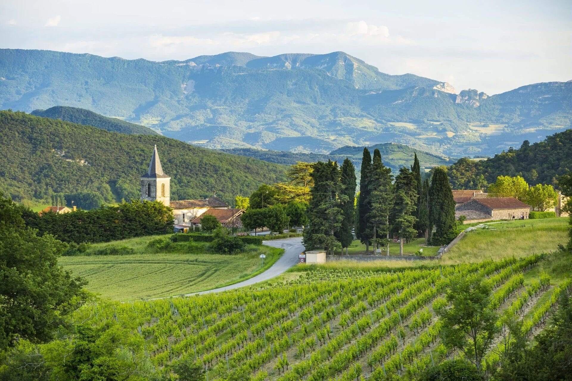 International wineries