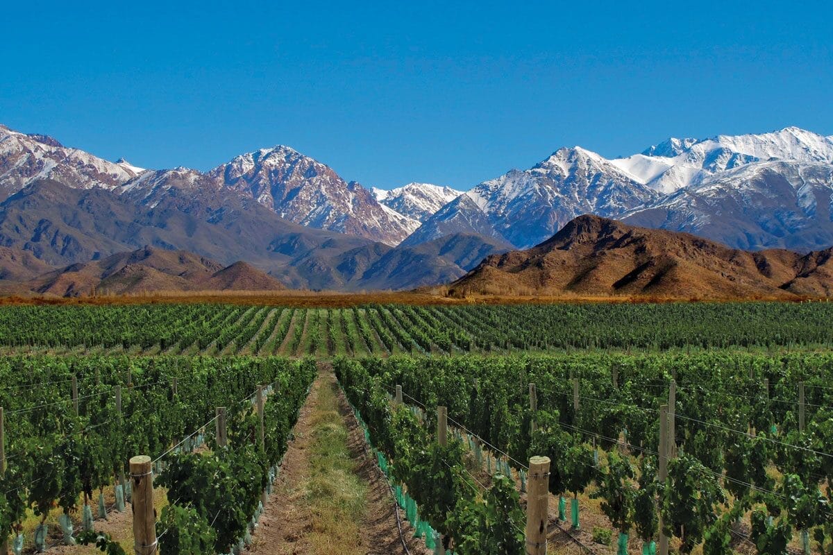International wineries