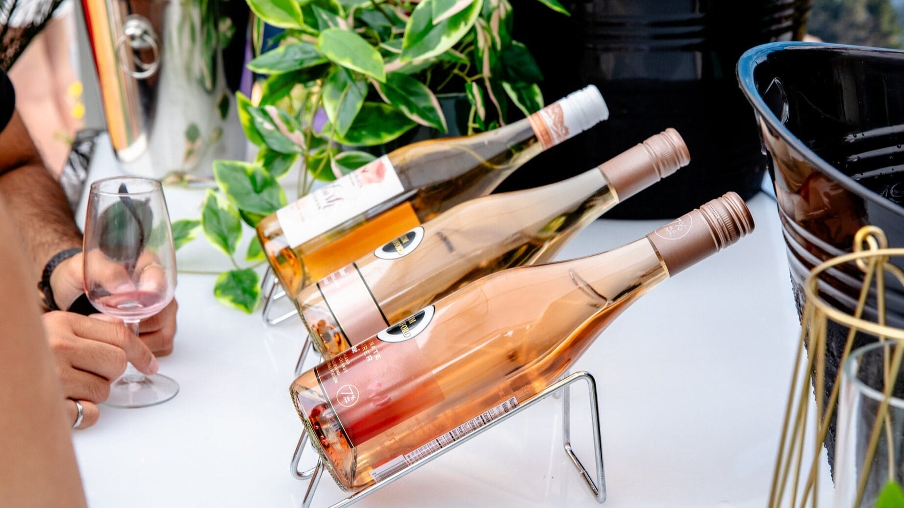 A close-up of three rosé wine bottles on display with a guest holding a partially filled wine glass.
