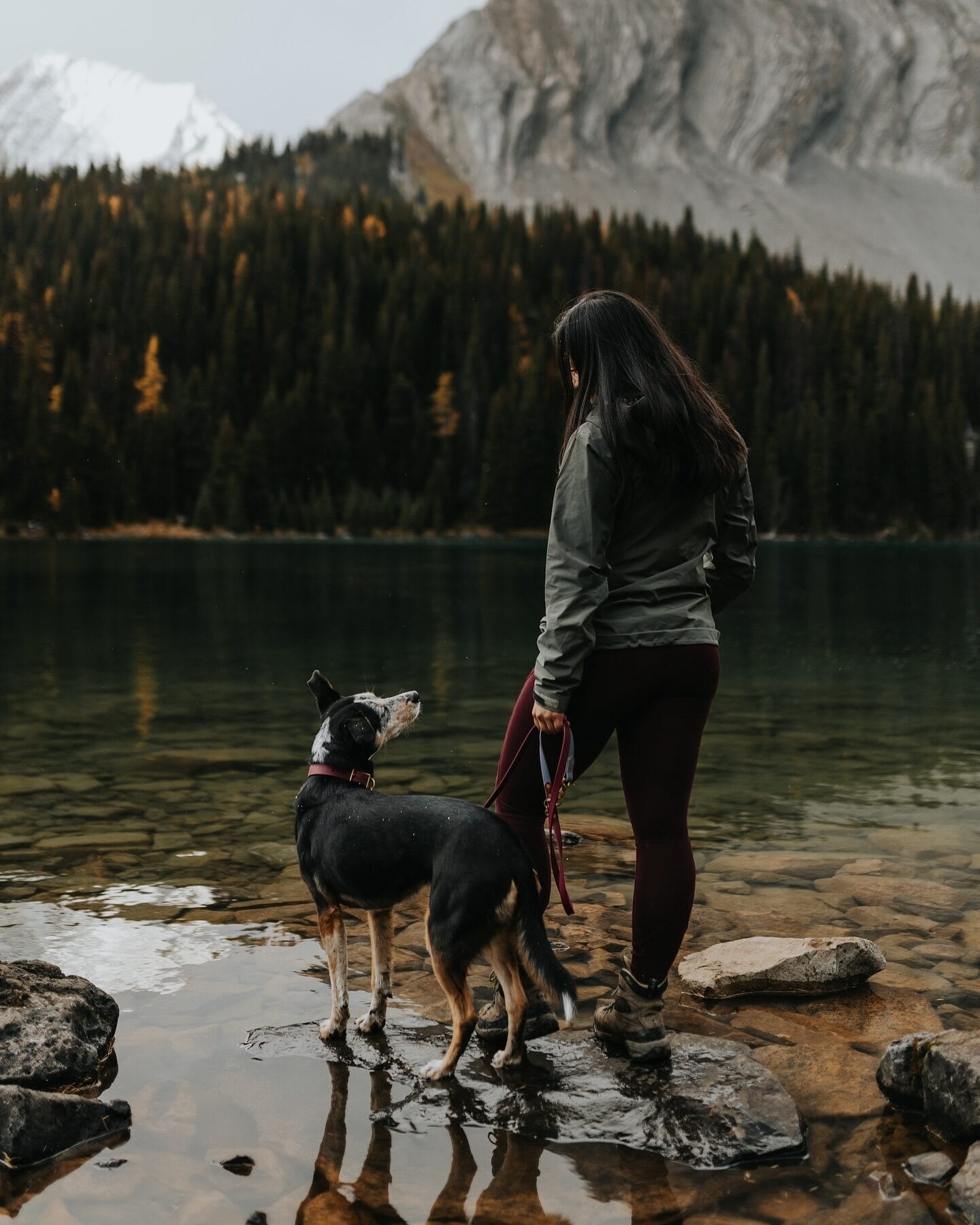 Eryn & Piper (@pipersrescueadventures)