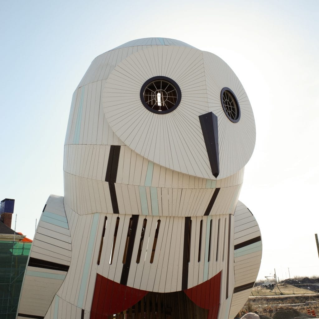 Owl