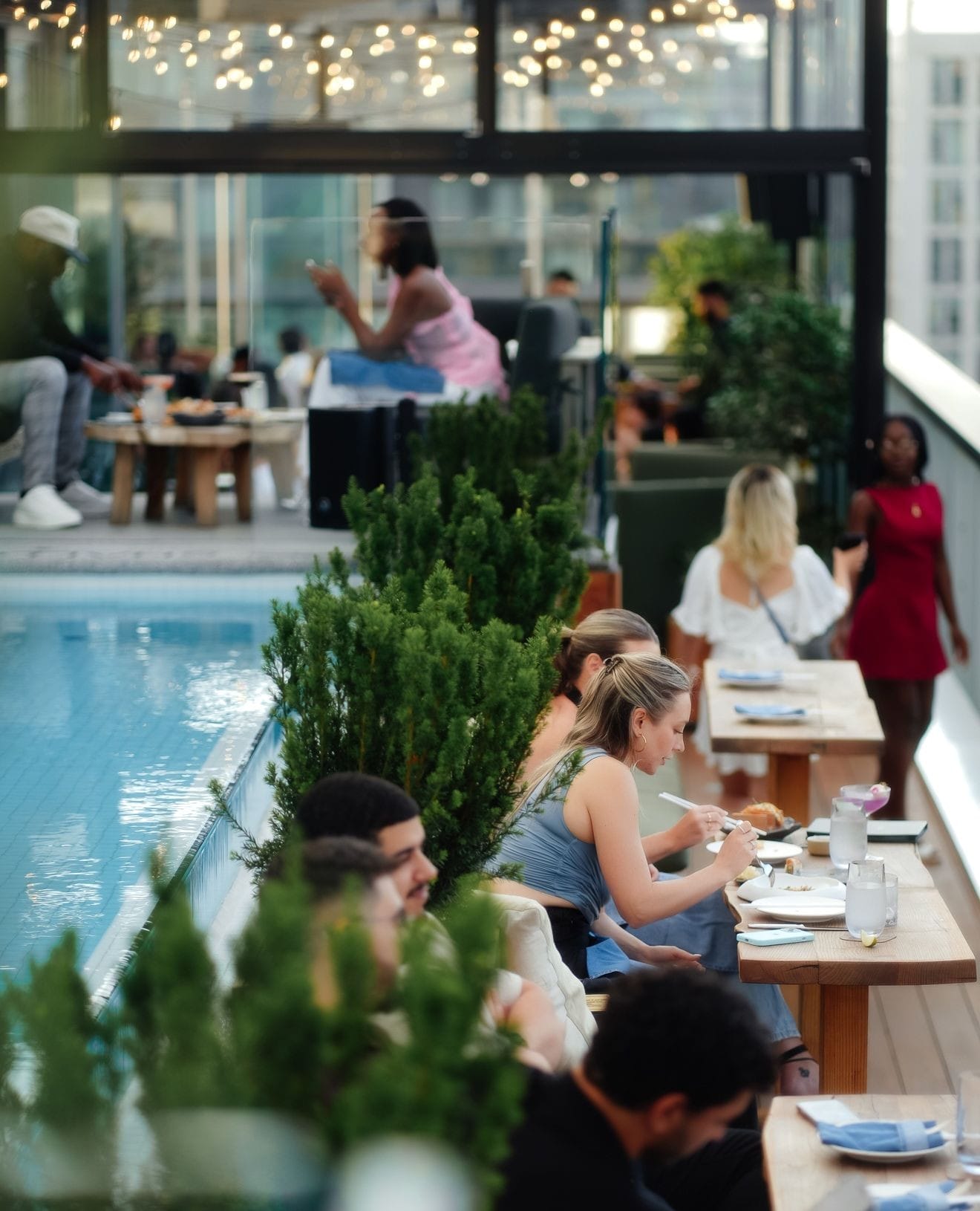 Harriet's Rooftop