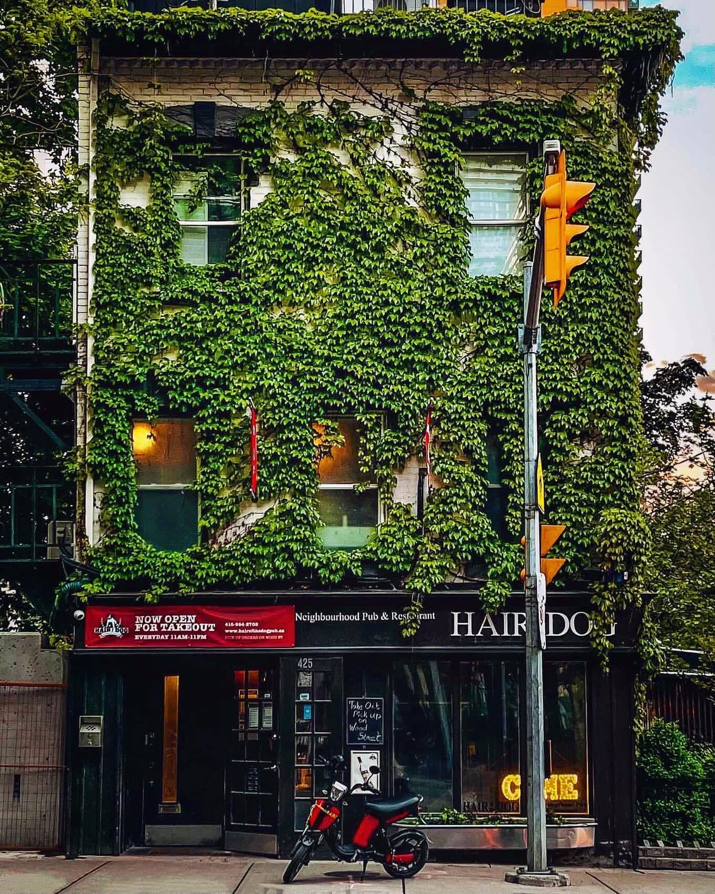 Hair of the Dog Neighbourhood Pub & Restaurant, places to drink Asahi Super Dry in Toronto