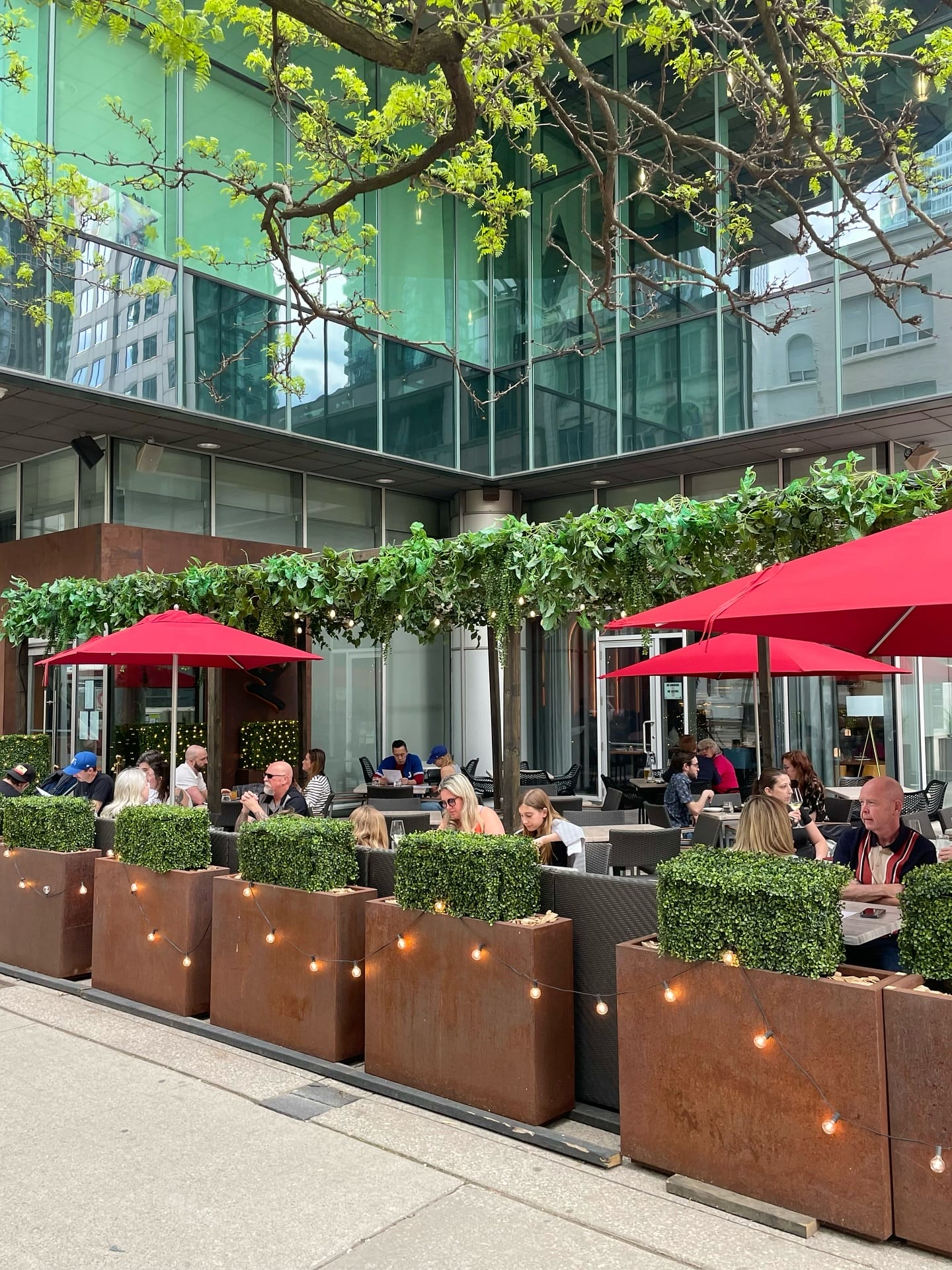 Minami, places to drink Asahi Super Dry in Toronto