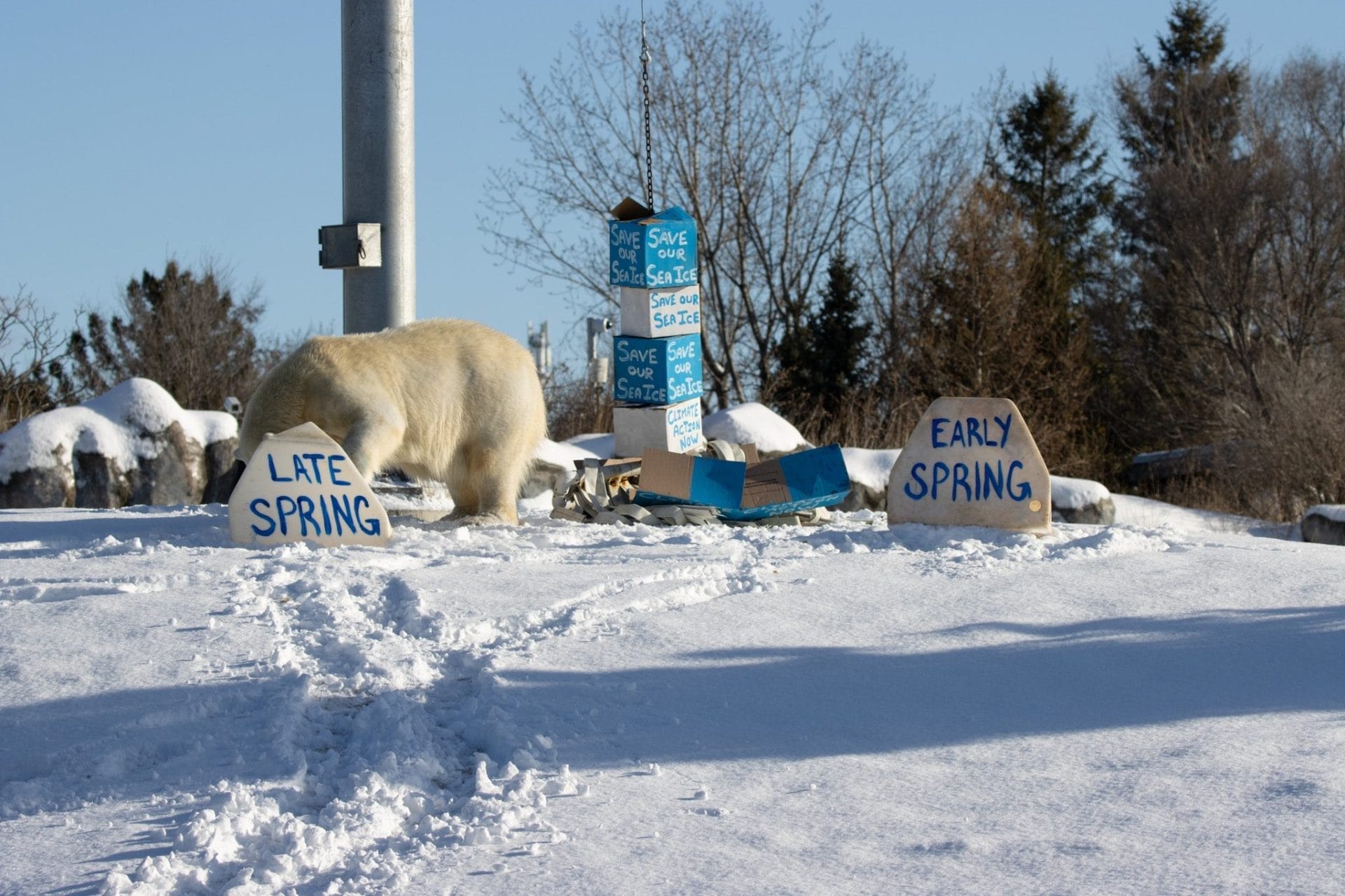 Toronto Zoo Holiday Marketplace, Christmas in Toronto 2025