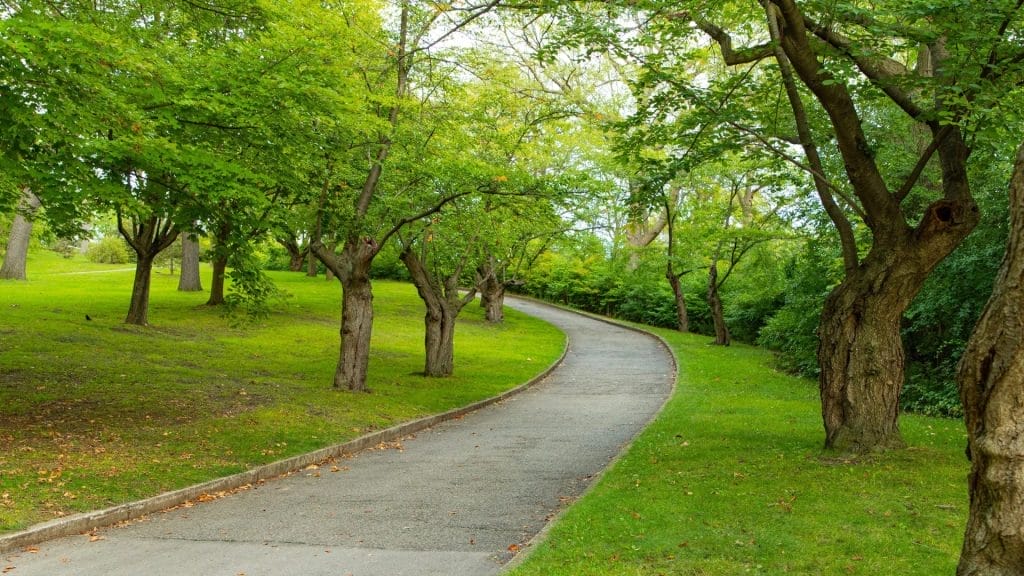 High Park Trails Toronto