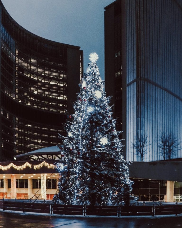 Toronto Spots That Already Feel Like Christmas