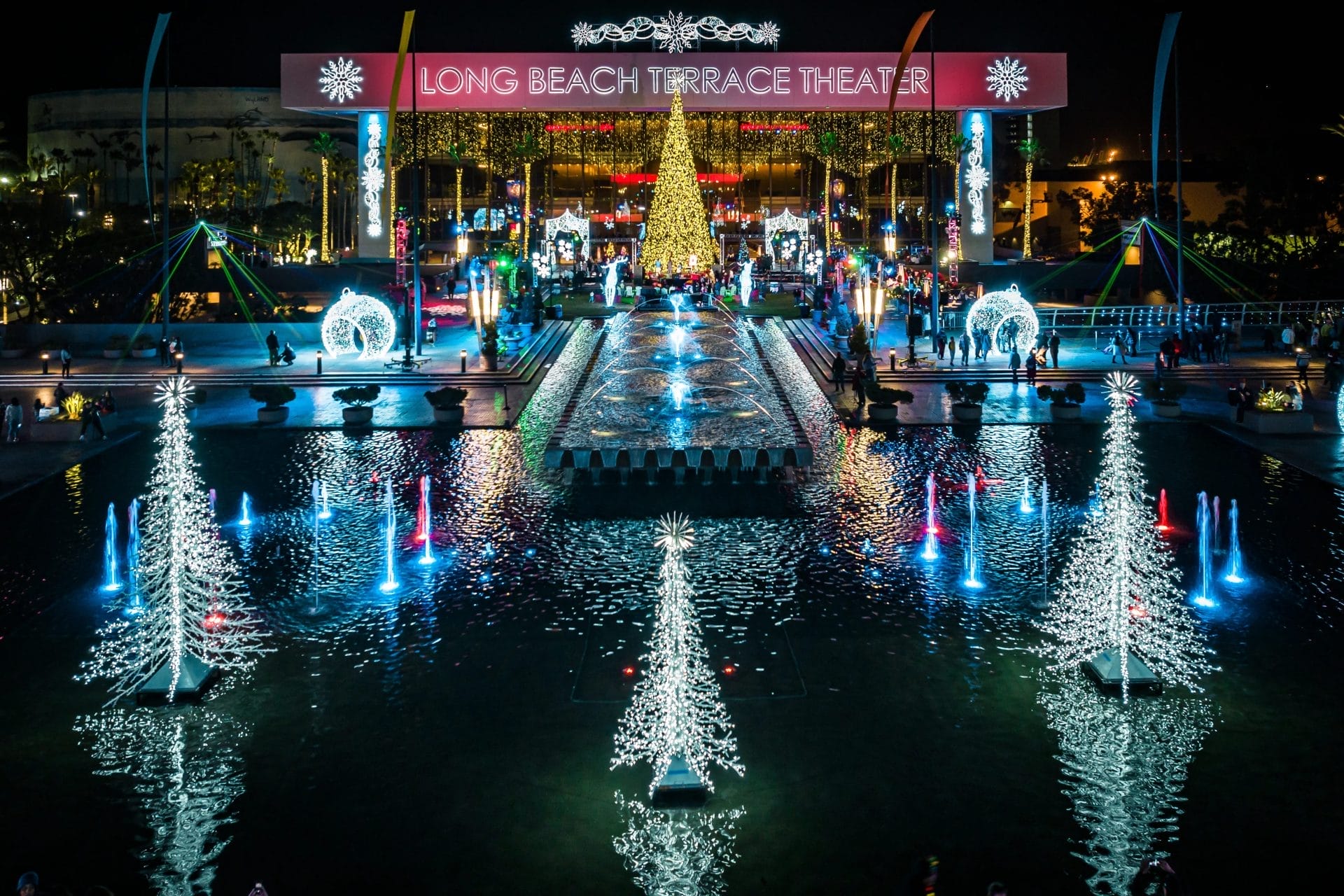 The Beaches Tree Lighting