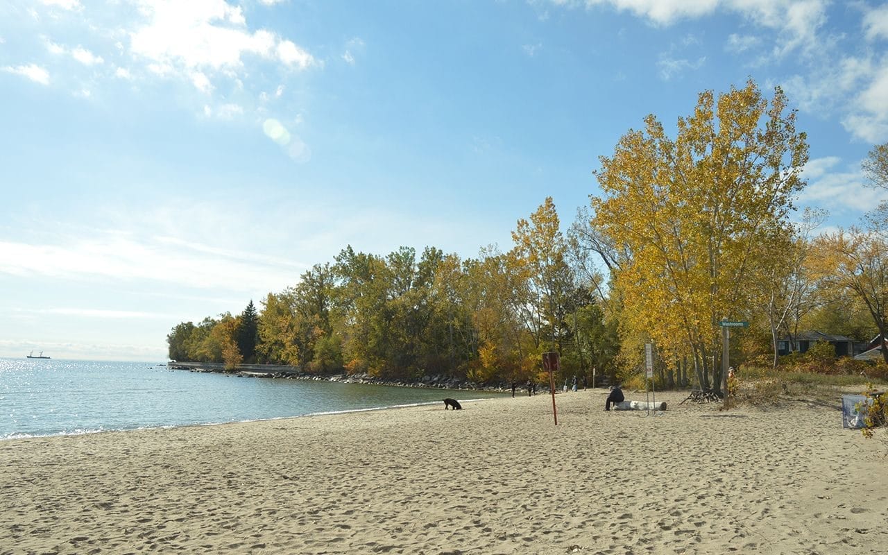 Perfect Day on the Toronto Islands