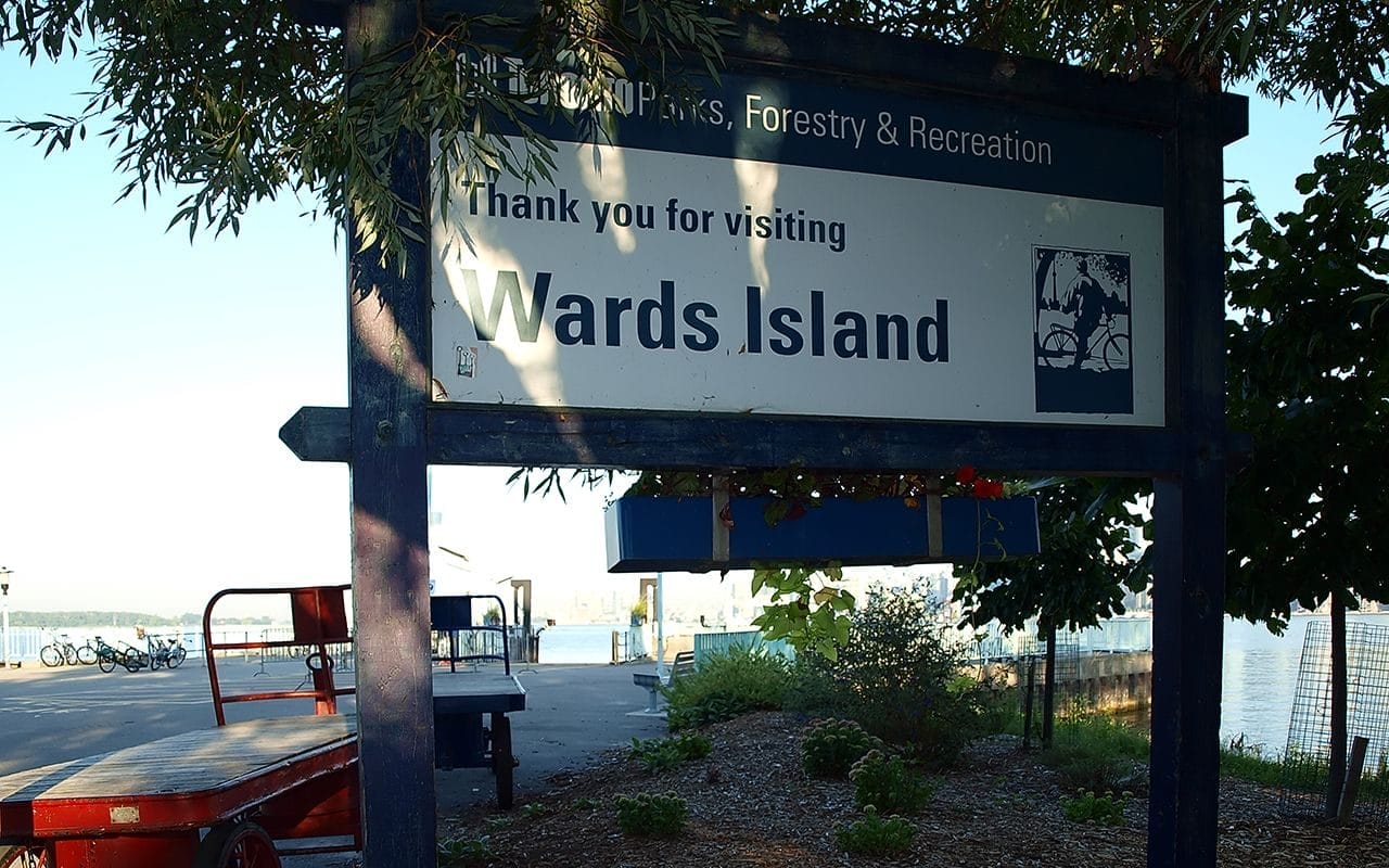 Lunch on Ward’s Island