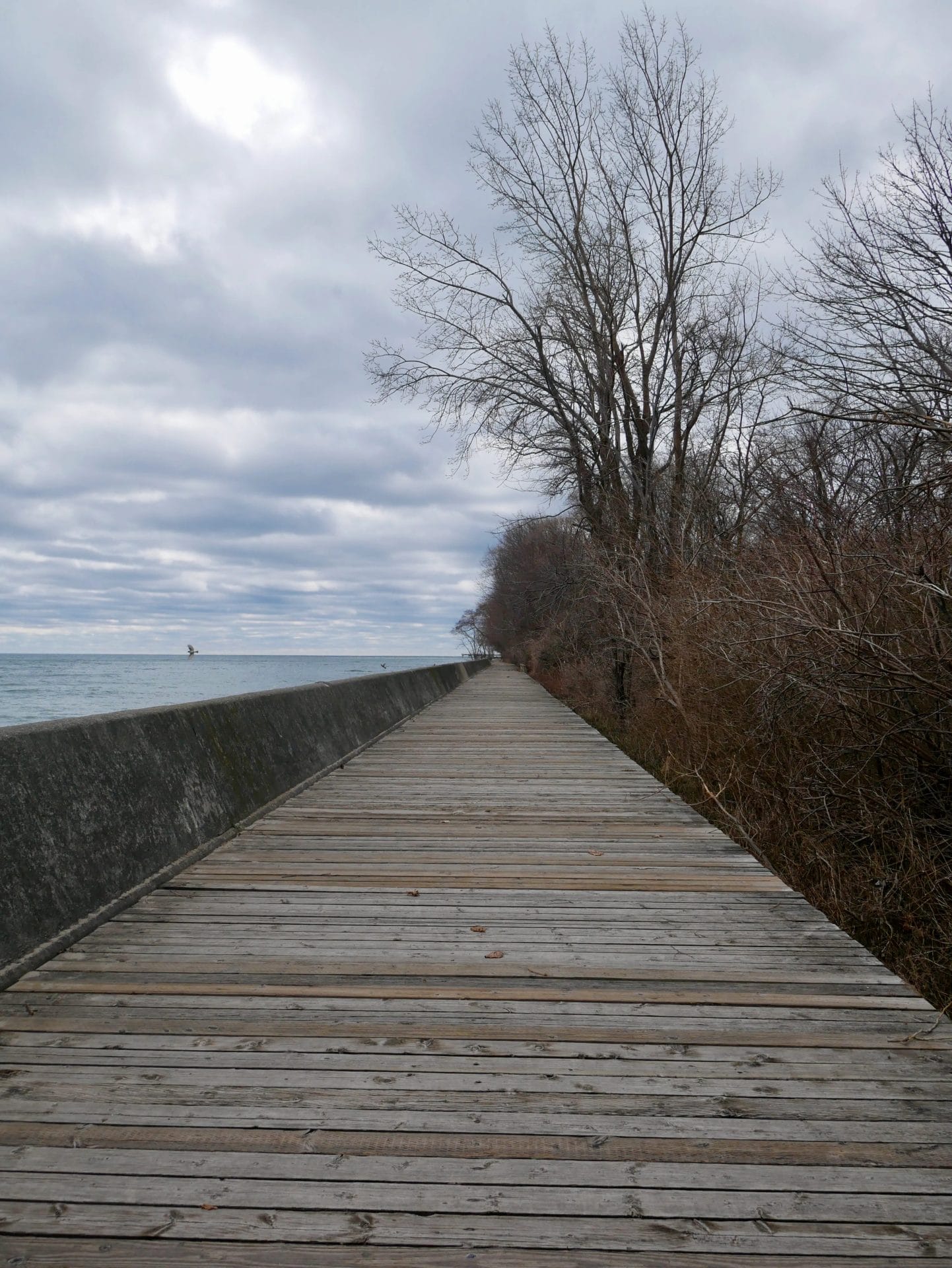 Walk the Ward’s Boardwalk, Perfect Day on the Toronto Islands