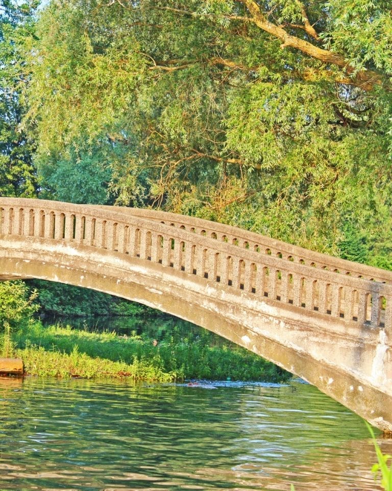 Toronto Island picnic