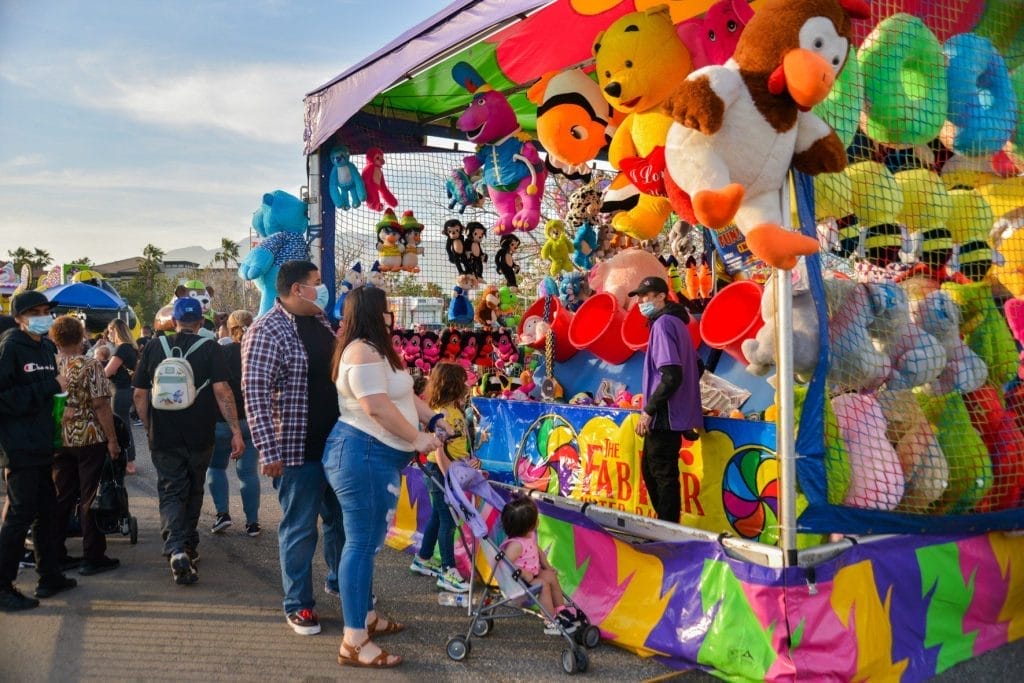 CNE Activities