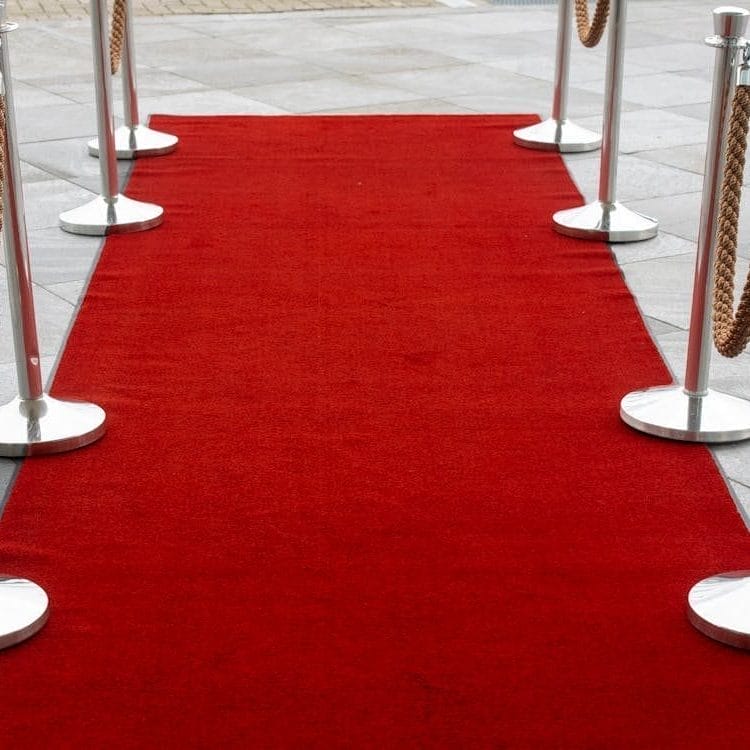 TIFF 2026