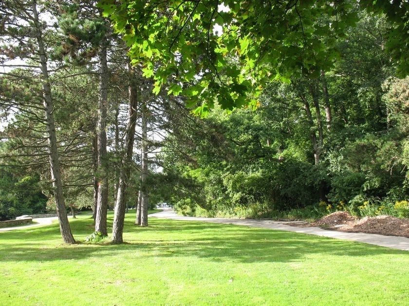 Walking trails and green space at High Park for Father’s Day activities in Toronto