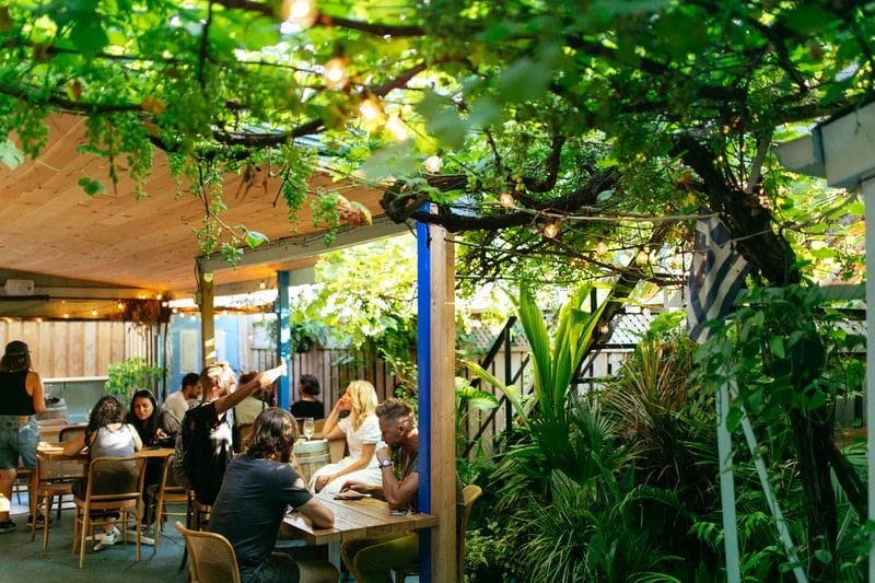 Backyard patio seating at Paradise Grapevine restaurant in Toronto with greenery and string lights